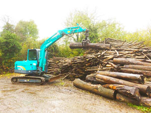 D T Dye Timber